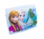Plastový box Fashion, "Frozen", 39x29x14cm