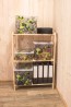 Plastový box Fashion, "Spring", 39x29x14cm - POSLEDNÝCH 5 KS